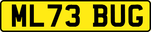 ML73BUG