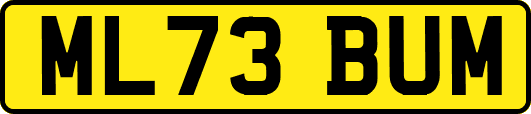 ML73BUM