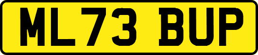 ML73BUP