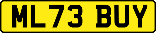 ML73BUY