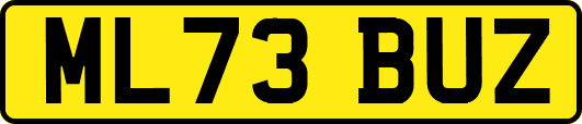 ML73BUZ