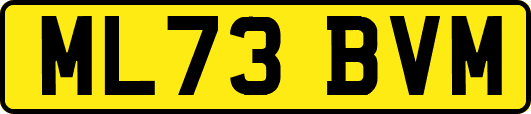 ML73BVM