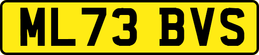 ML73BVS
