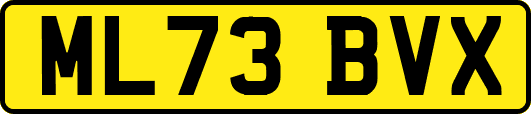 ML73BVX