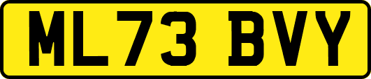 ML73BVY
