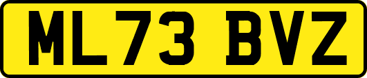 ML73BVZ