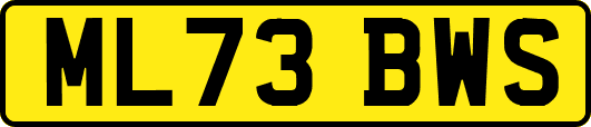ML73BWS