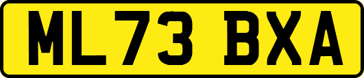 ML73BXA