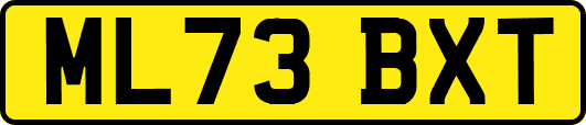 ML73BXT