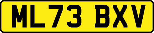 ML73BXV