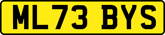 ML73BYS