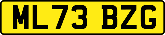 ML73BZG