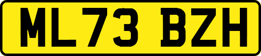 ML73BZH