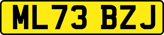 ML73BZJ
