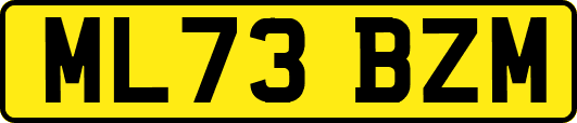 ML73BZM