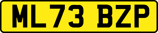ML73BZP