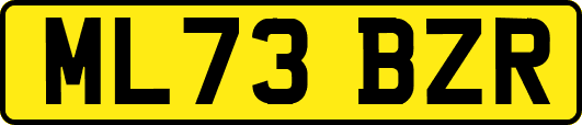 ML73BZR