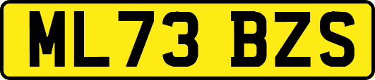 ML73BZS
