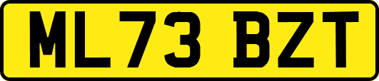ML73BZT
