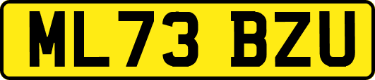ML73BZU