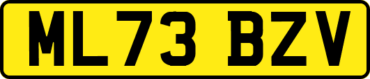 ML73BZV