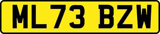 ML73BZW