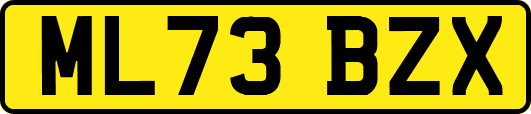 ML73BZX