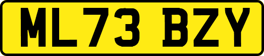 ML73BZY