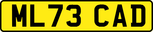 ML73CAD
