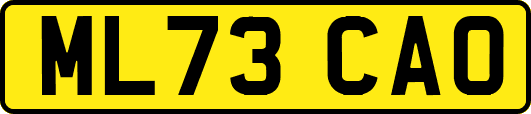 ML73CAO