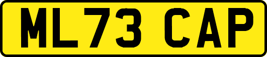 ML73CAP