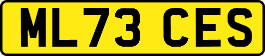 ML73CES