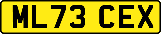 ML73CEX