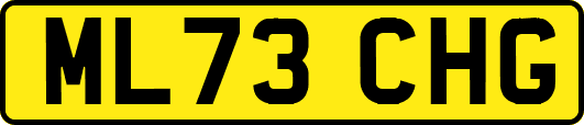ML73CHG
