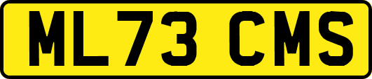 ML73CMS