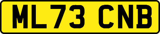 ML73CNB