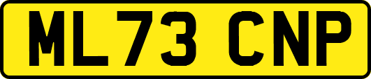 ML73CNP