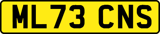 ML73CNS