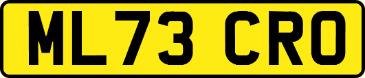 ML73CRO
