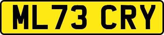 ML73CRY