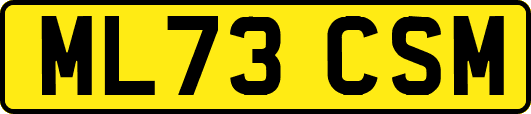 ML73CSM