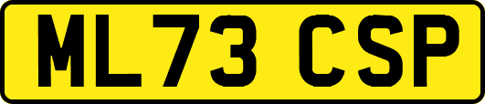 ML73CSP