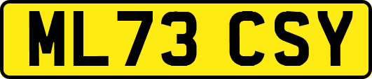 ML73CSY