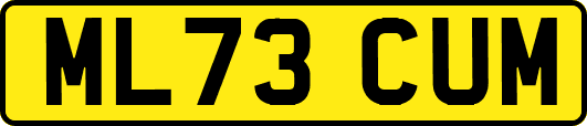 ML73CUM