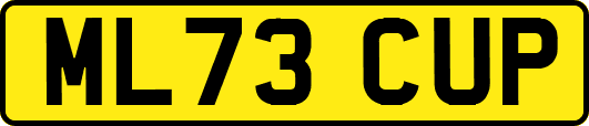 ML73CUP