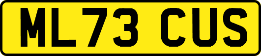 ML73CUS