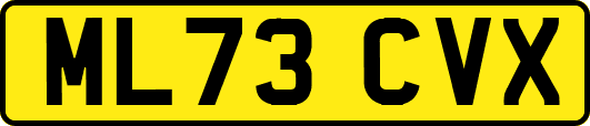 ML73CVX
