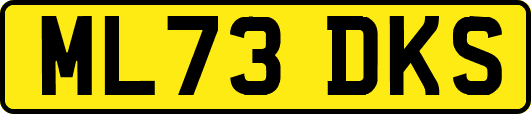 ML73DKS