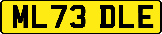 ML73DLE