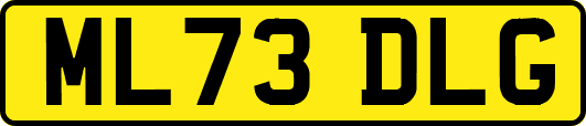 ML73DLG